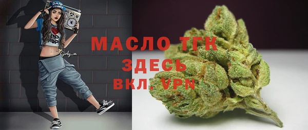 spice Богородицк