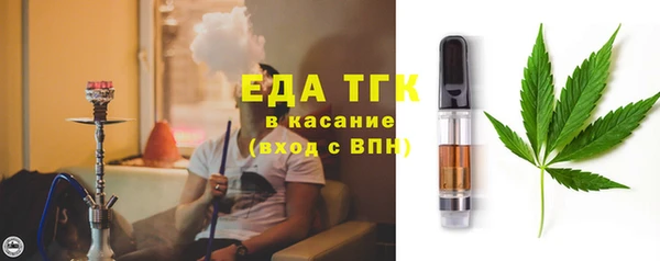 spice Богородицк