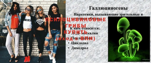 дурь Богородск