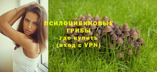 spice Богородицк
