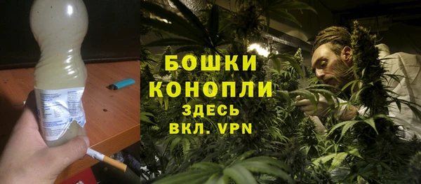 spice Богданович
