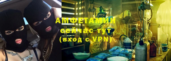 spice Богородицк