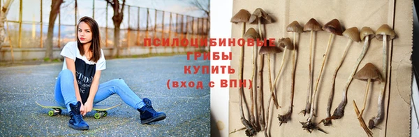 spice Богданович