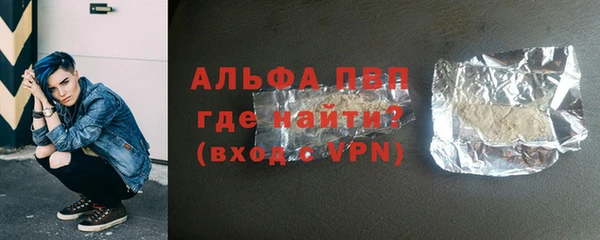 spice Богородицк