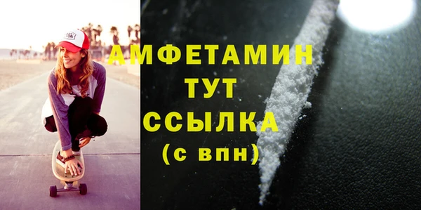 spice Богородицк