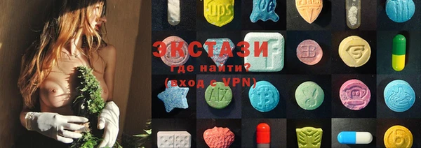spice Богородицк