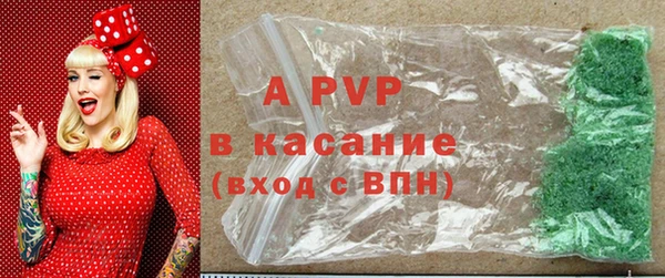 spice Богданович